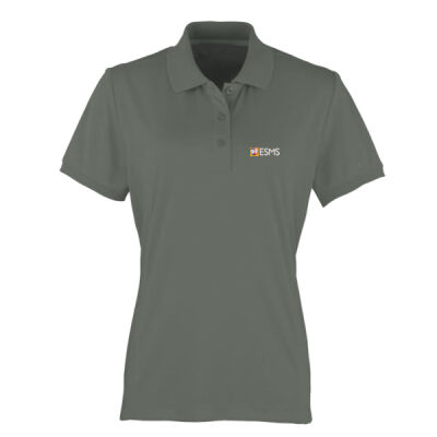 Personalised Breathable Polo (Ladies) CH-PR616-P Thumbnail